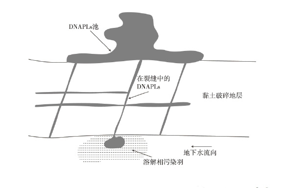 污染地塊土壤修復-地下水中DNAPL空間分布